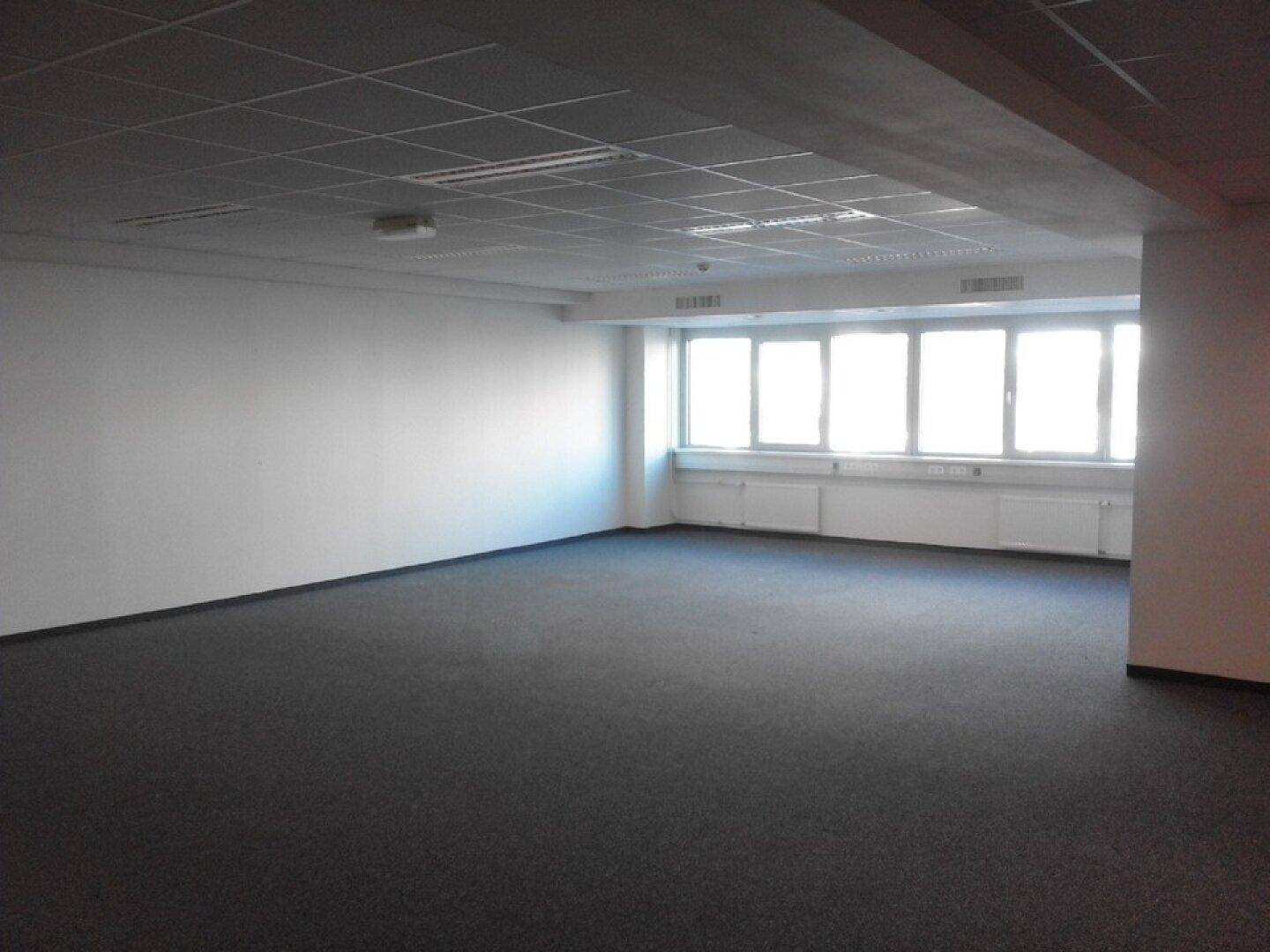 Großer, leerer Büroraum mit Teppichboden, weißen Wänden und einer Fensterfront, die viel Licht spendet.