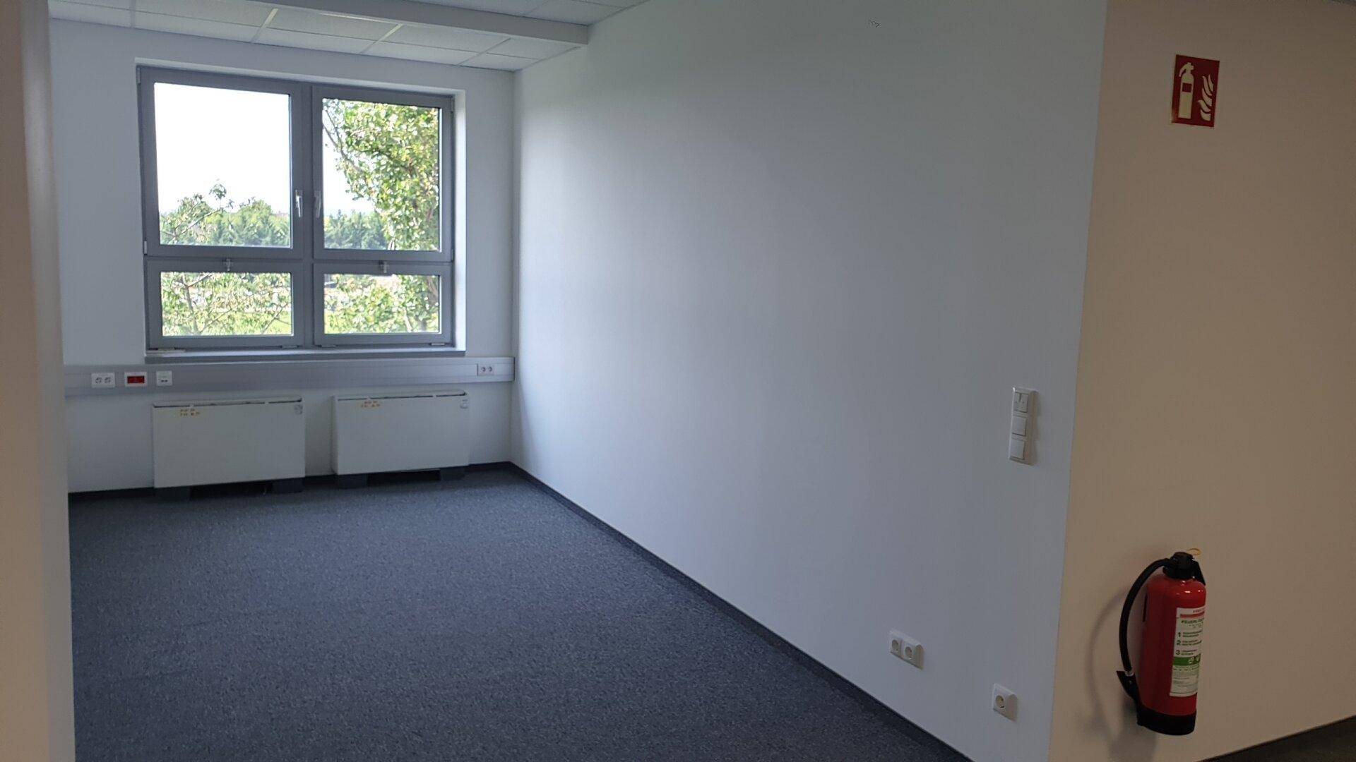 Leerer Büroraum mit großem Fenster, Teppichboden und Heizkörpern, bereit zur Nutzung.