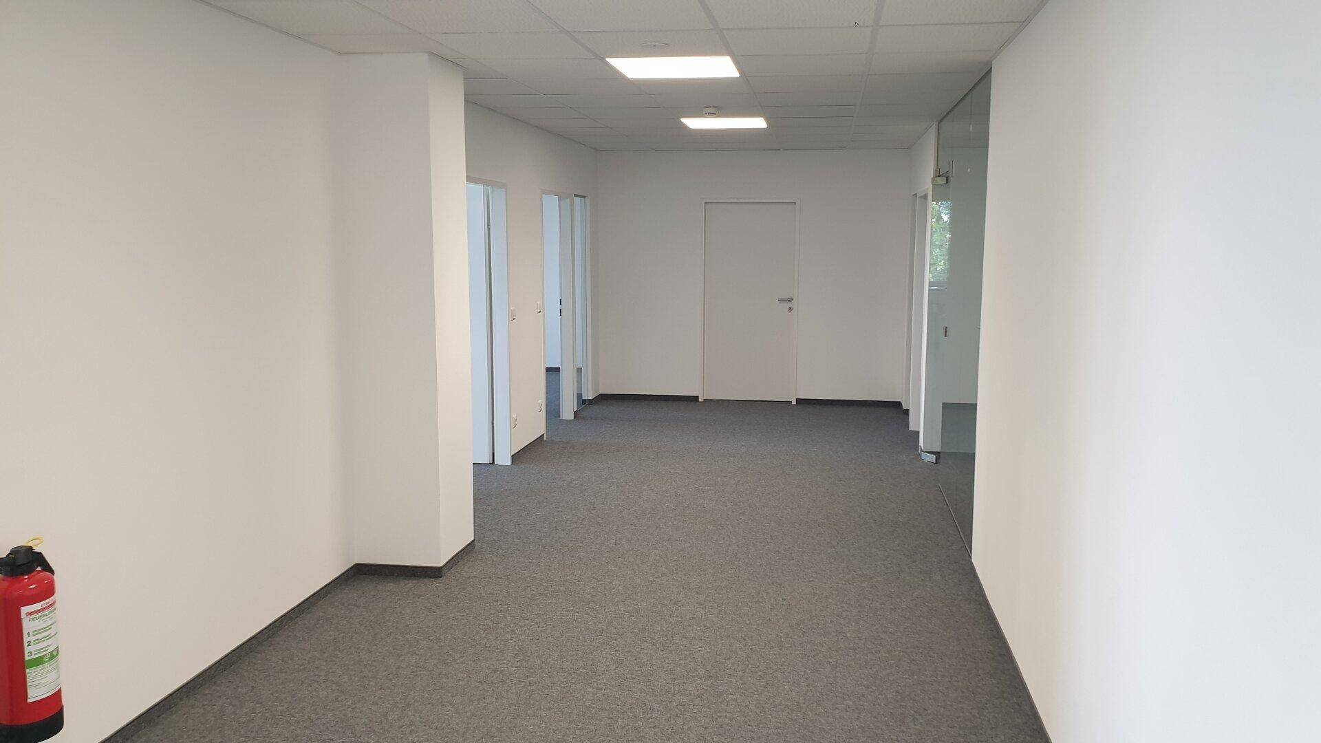Langer, heller Flur in einem Gewerbegebäude mit Teppichboden und mehreren Türen zu Büros.