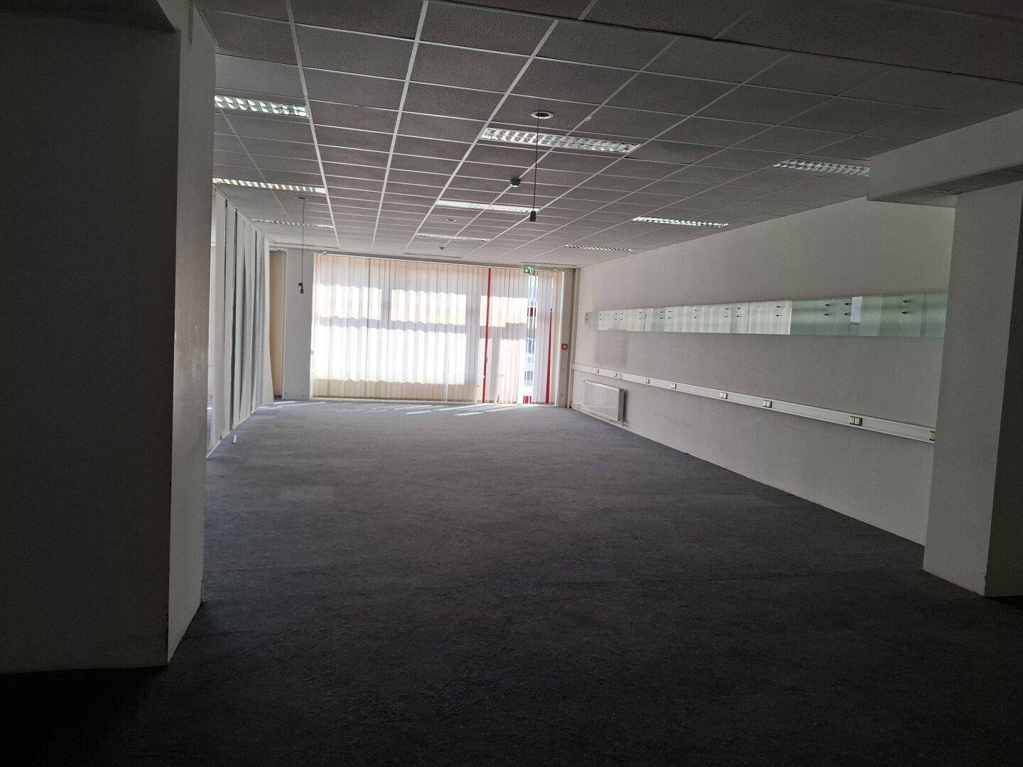 Weitläufiger, unmöblierter Gewerberaum mit Teppichboden, abgehängter Decke und viel Tageslicht durch die Fensterfront.