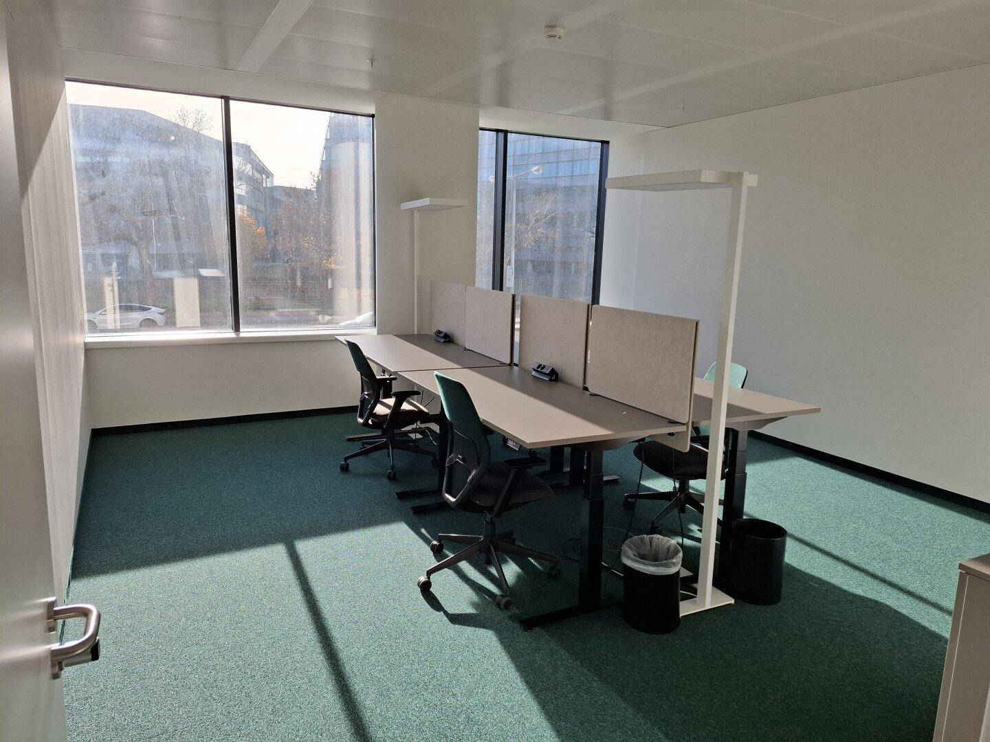 Helles Büro mit mehreren Arbeitsplätzen, großen Fenstern und grünem Teppichboden.