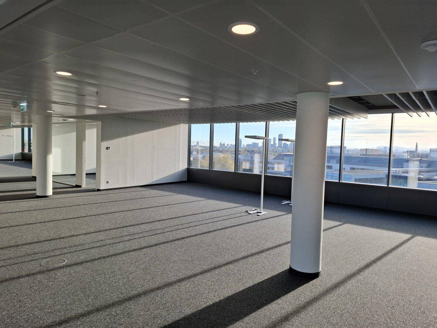 Geräumiger, leerer Bürobereich mit Teppichboden und großen Fenstern, die viel Tageslicht hereinlassen.