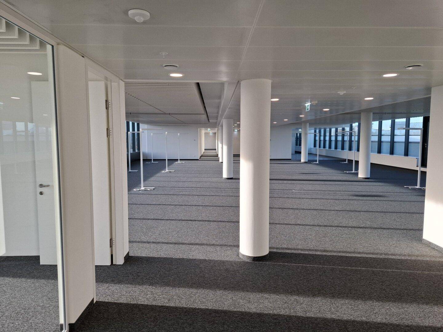 Weitläufiger, leerer Bürobereich mit Teppichboden, Säulen und großen Fenstern, die viel Licht spenden.