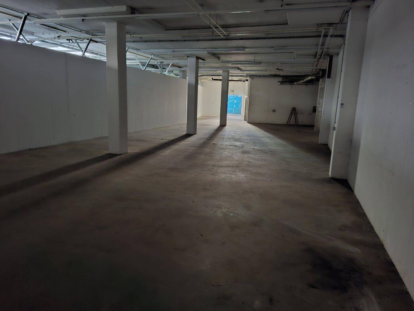 Geräumiger, leerer Innenraum mit Betonboden, weißen Säulen und Deckenbeleuchtung.
