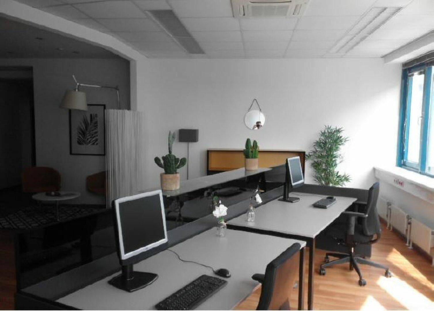 Offener Bürobereich mit mehreren Arbeitsplätzen, modernen Monitoren und Pflanzen als Dekoration, hell und funktional.