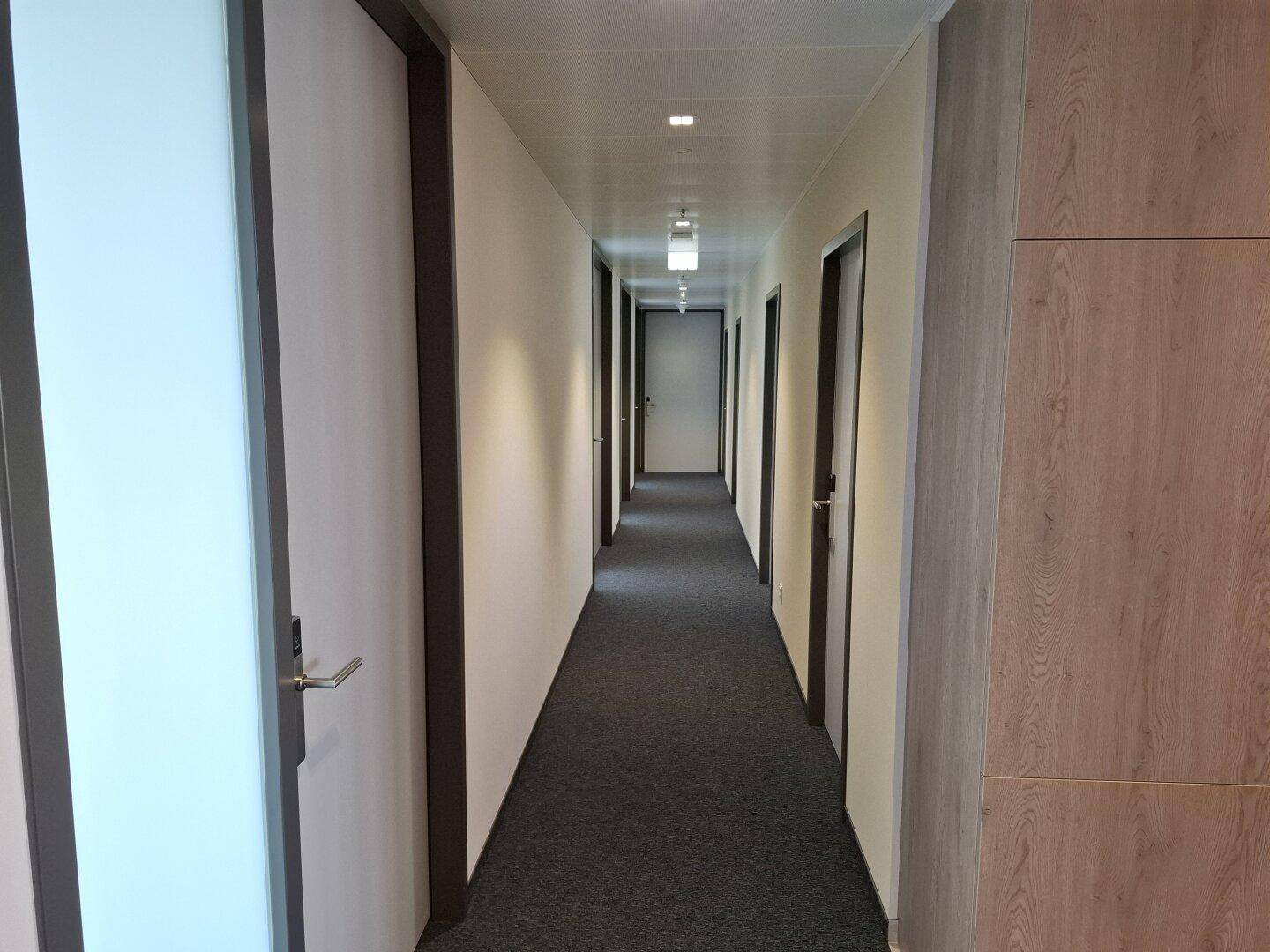 Langer, moderner Flur mit Teppichboden und mehreren Türen zu Büros oder Räumen.