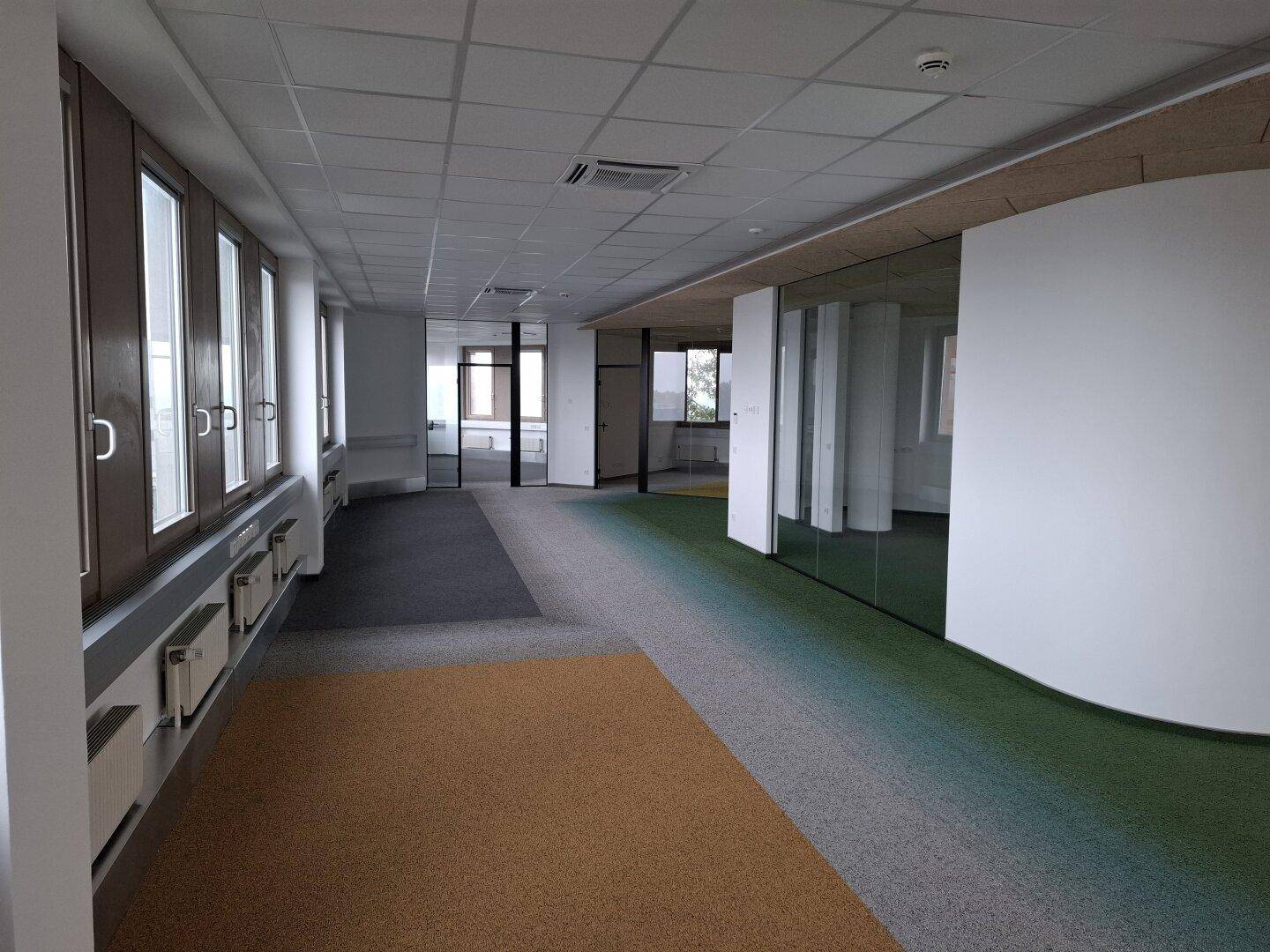Langer Bürogang mit Teppichboden in verschiedenen Farben und vielen Fenstern für natürliches Licht.