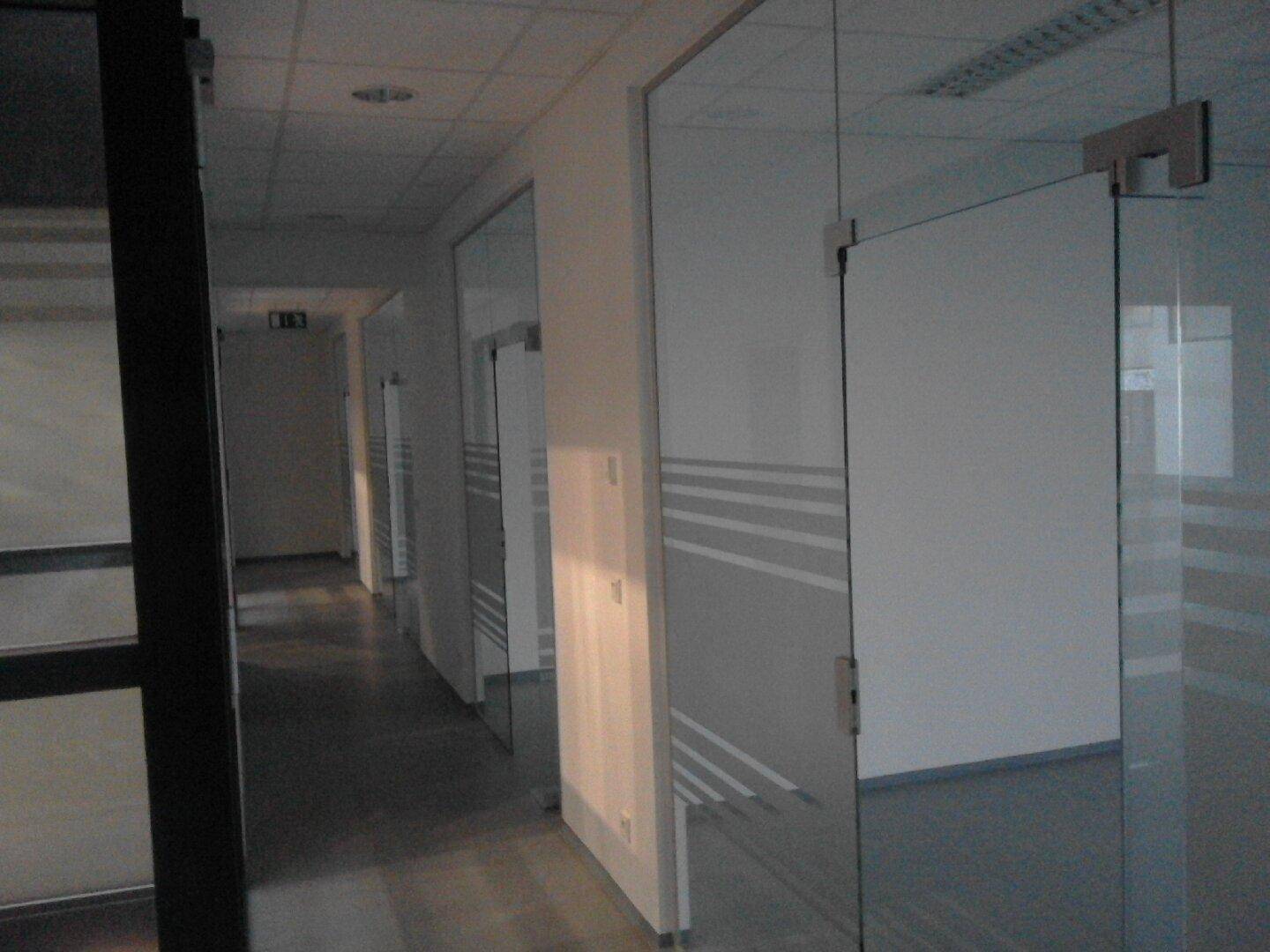 Moderner Büroflur mit mehreren Glastüren, die zu den einzelnen Büros führen, und reflektierendem Licht.