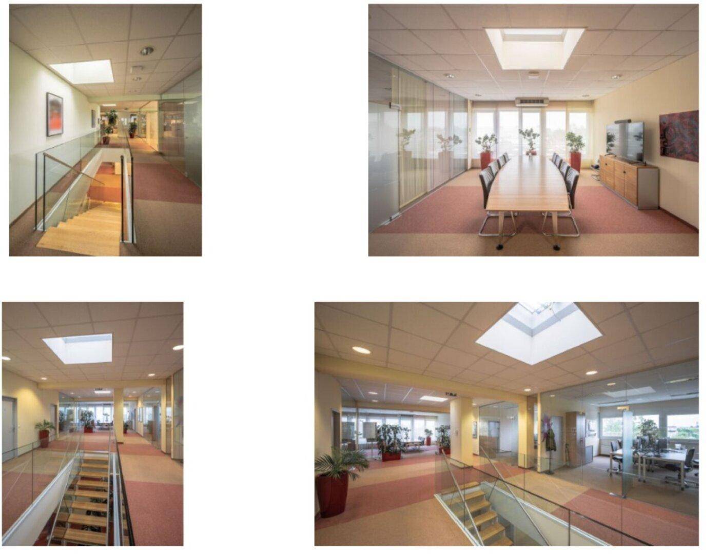 Moderne Büroräume mit Konferenzbereich, Flur und Treppenhaus, gekennzeichnet durch Glaswände, Teppichboden und viel Tageslicht.