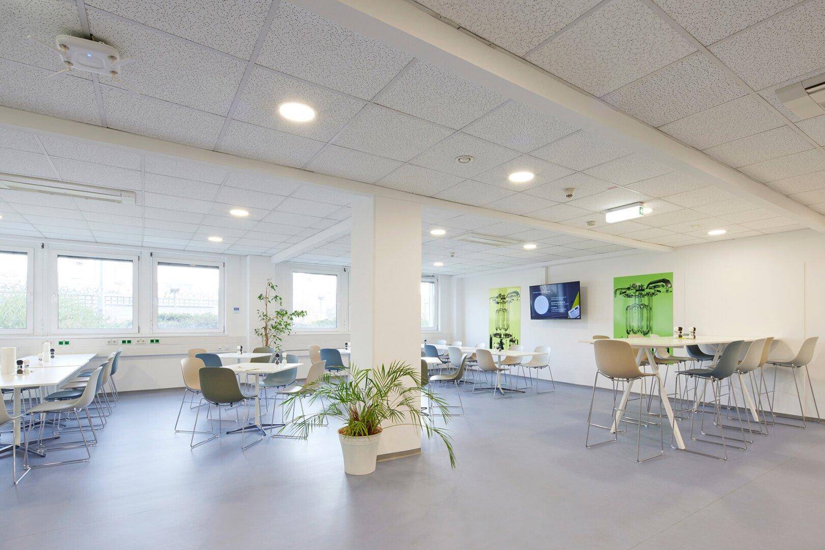 Geräumige Cafeteria mit verschiedenen Sitzbereichen, großen Fenstern und Pflanzen für eine angenehme Atmosphäre.
