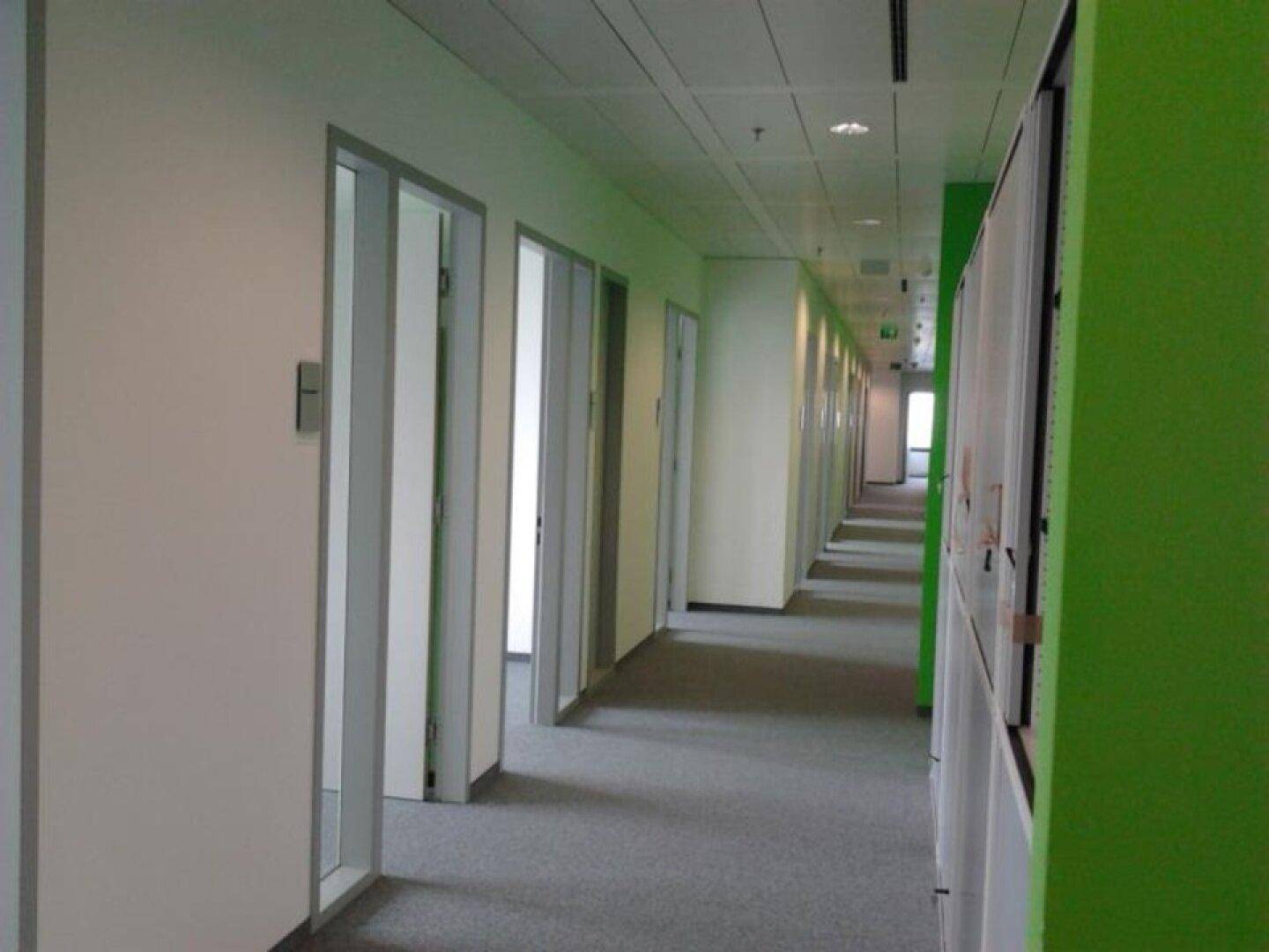 Langer Büroflur mit hellgrünen Wänden, Teppichboden und zahlreichen Türen zu Büroräumen.