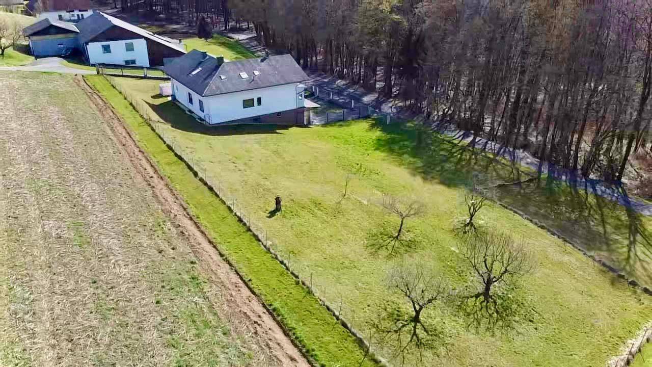 Weitläufige Luftaufnahme des Anwesens mit großem Grundstück, angrenzenden Feldern und Waldrand.