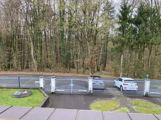 Blick auf die Zufahrt mit Tor und geparkten Autos, umgeben von dichtem Wald.