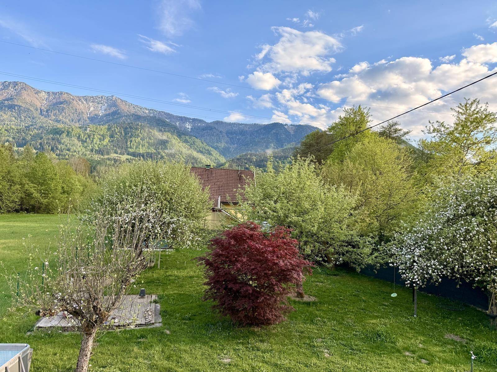 Weitläufiger Garten mit verschiedenen Bäumen und Panoramablick auf die Berge im Hintergrund.