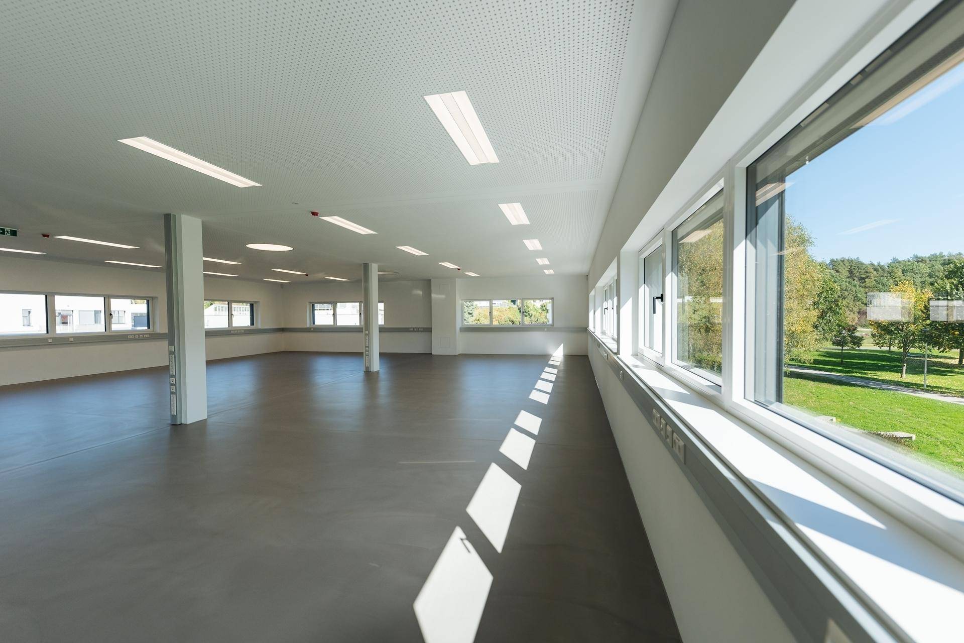Geräumiger, heller Bürobereich mit vielen Fenstern, Säulen und modernem Betonboden.