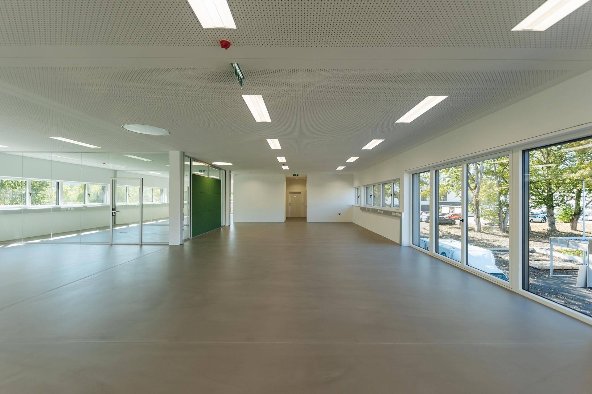 Heller, moderner Büroraum mit großen Fenstern, perforierter Decke und Blick ins Grüne.
