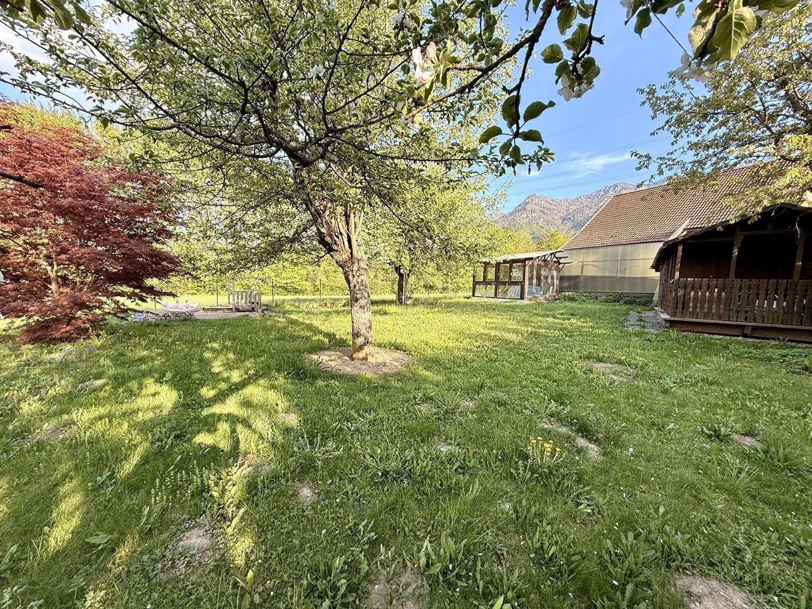Großer, gepflegter Garten mit Obstbäumen und einem kleinen Gartenhaus unter blauem Himmel.
