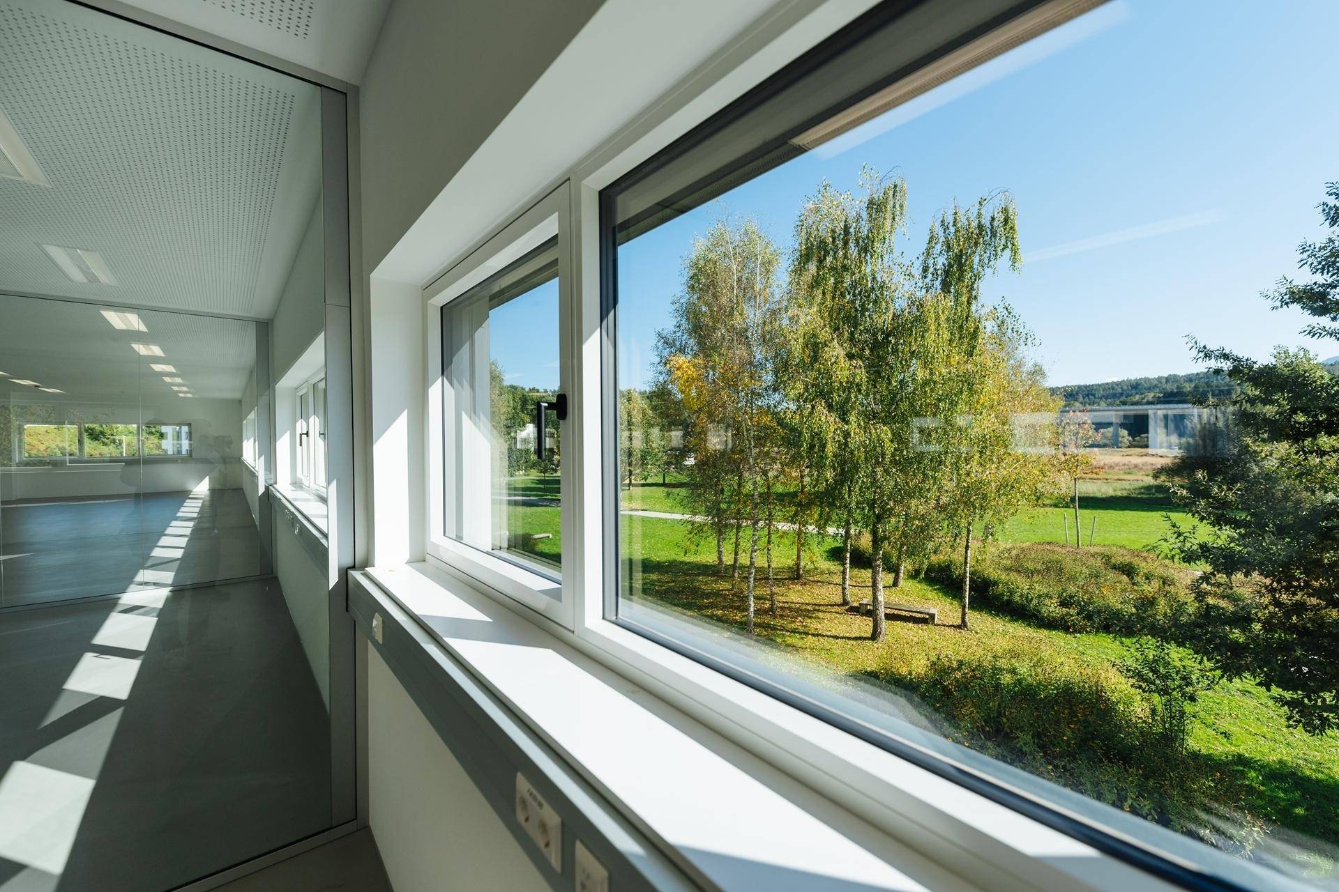 Blick aus einem großen Fenster eines Büroraums auf eine grüne Landschaft mit Bäumen und Wiesen.