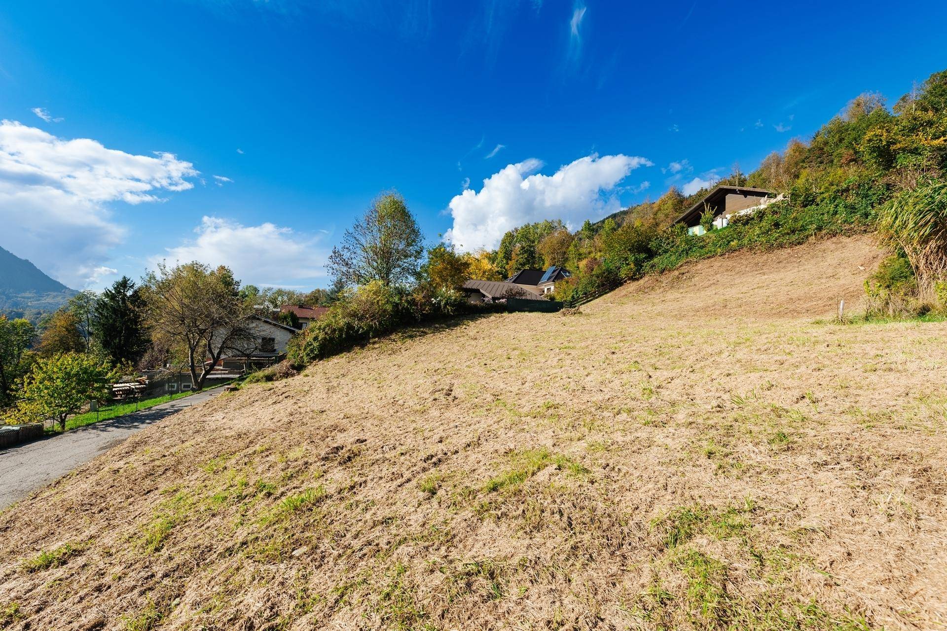 Blick über das Baugrundstück hinauf zum bewaldeten Hang mit weiteren Wohnhäusern.