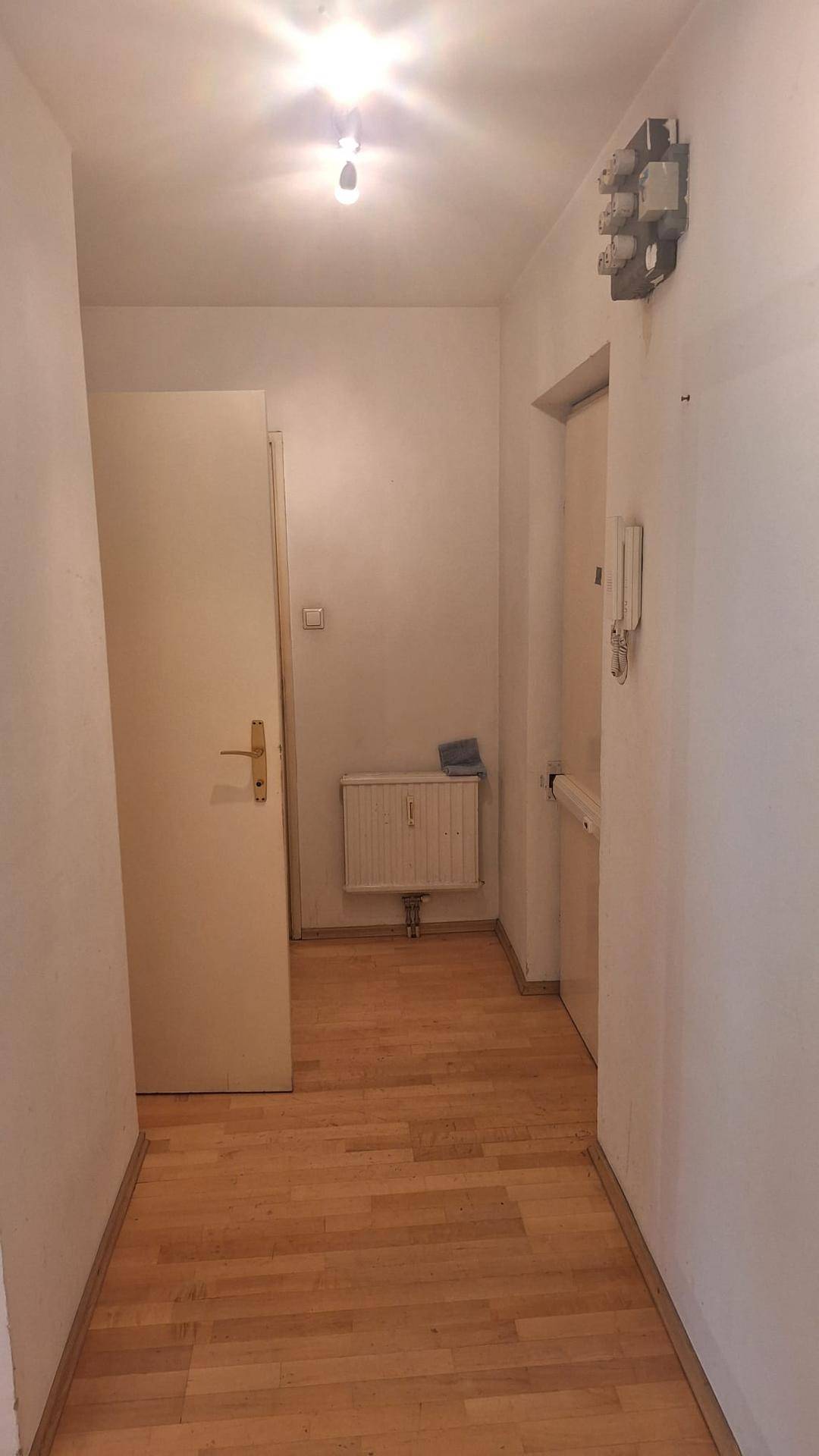 Heller Flur mit Parkettboden, Eingangstür und Gegensprechanlage.