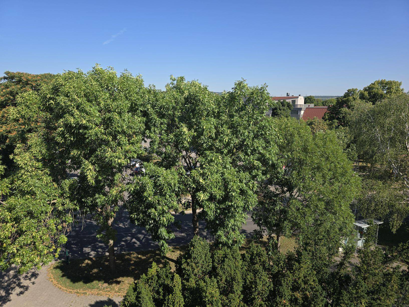 Weitläufiger Blick ins Grüne mit Bäumen und Dächern in der Ferne.