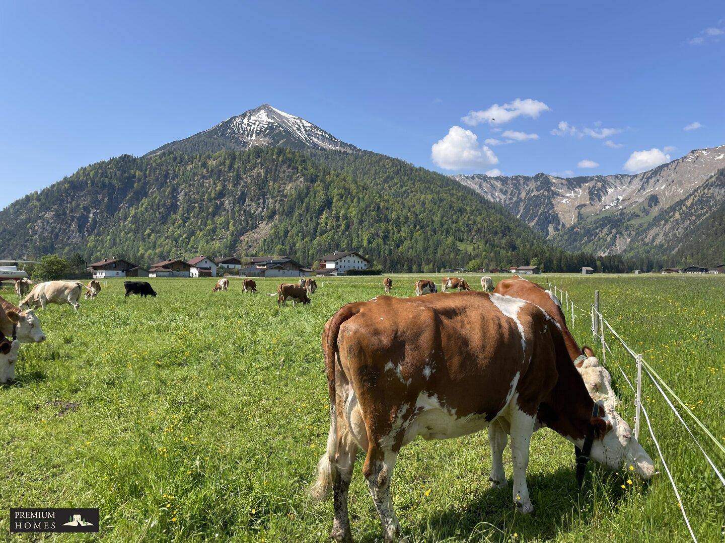 ACHENKIRCH - ca. 2094 m² Baugrundstück mit Blick in die Landschaft und Bergwelt