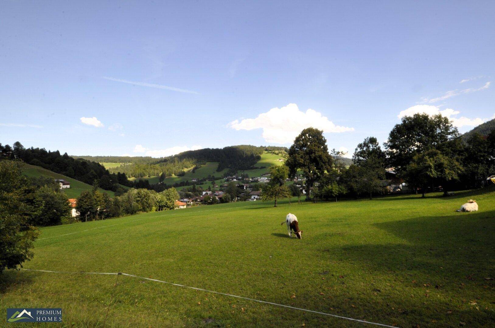 Wildschönau/NIEDERAU - 567 m² Grundstück - nächste Umgebung mit Blick in die Landschaft