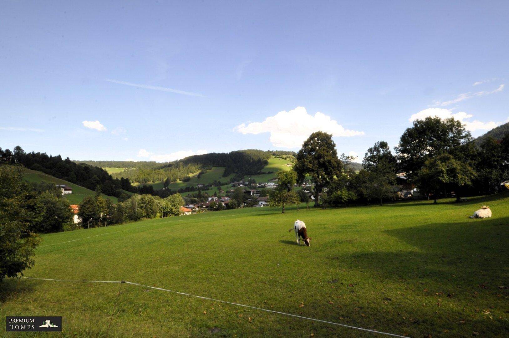 Wildschönau/NIEDERAU - 567 m² Grundstück - nächste Umgebung mit Blick in die Landschaft