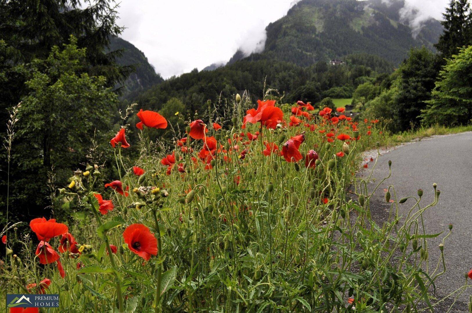 FINKENBERG - Au - idyllische Gartenwohnung - Landschaftsblick