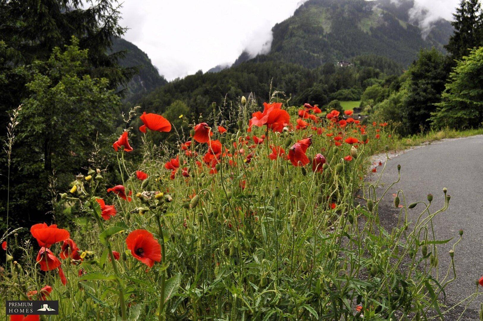 FINKENBERG - Au - idyllische Gartenwohnung - Landschaftsblick