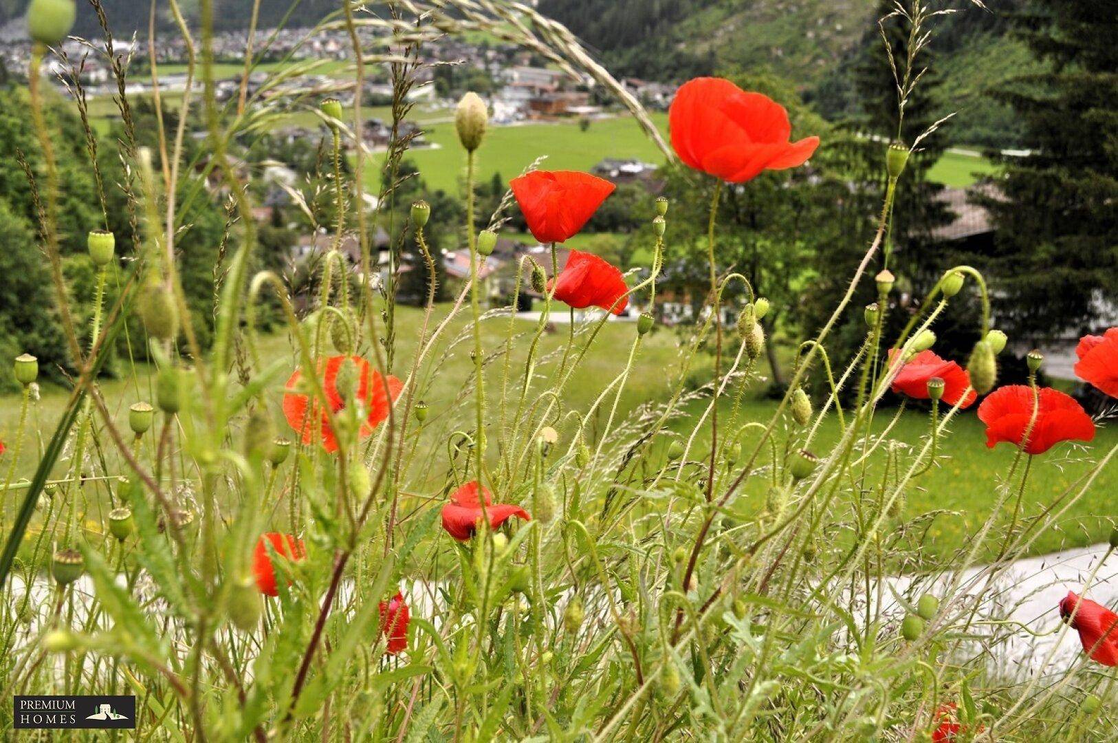 FINKENBERG - Au - idyllische Gartenwohnung - Landschaftsblick