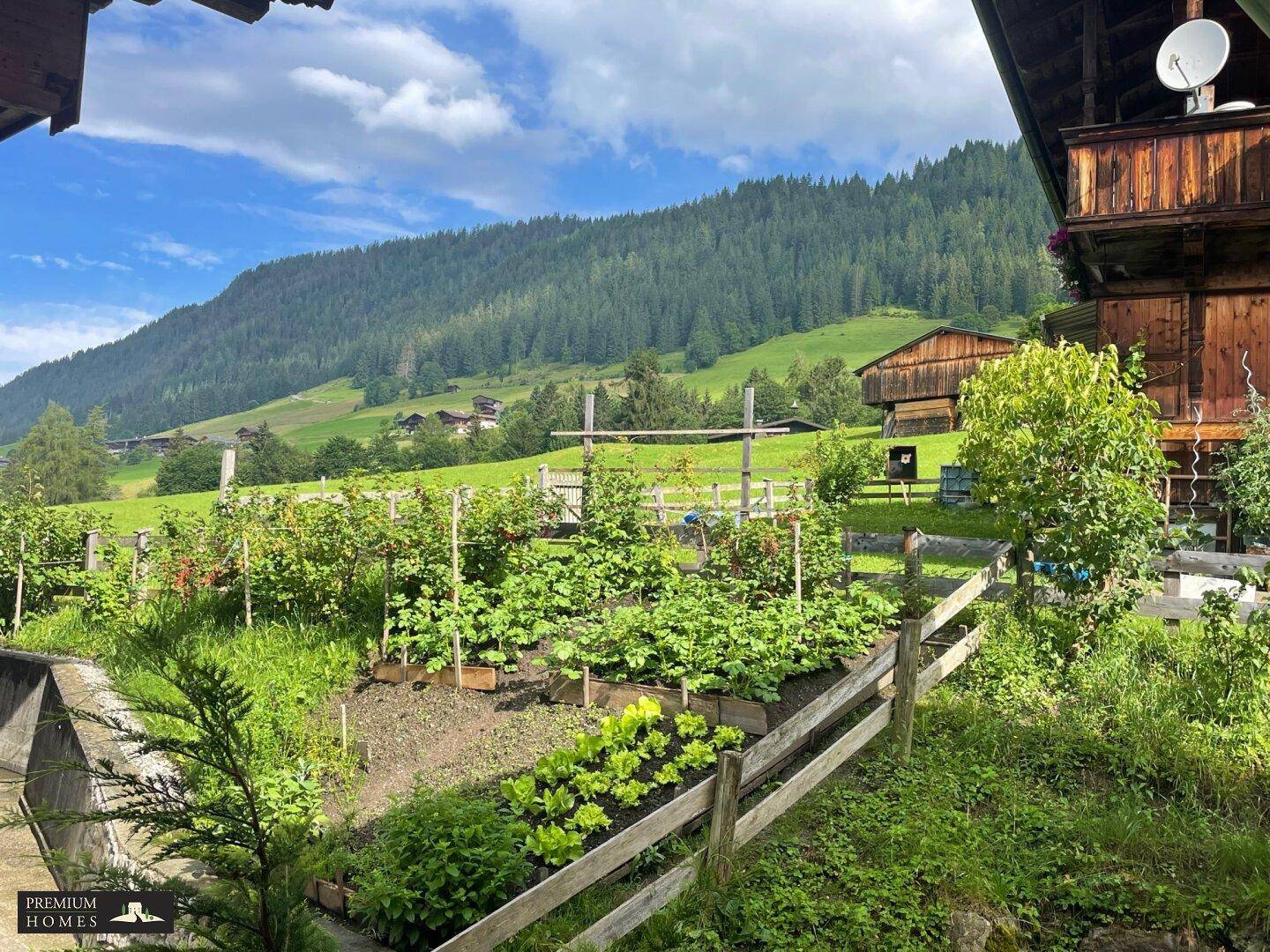 Alpbach - 2 Zimmer Wohnung im 1. OG - Blick vom Balkon Richtung Nord West