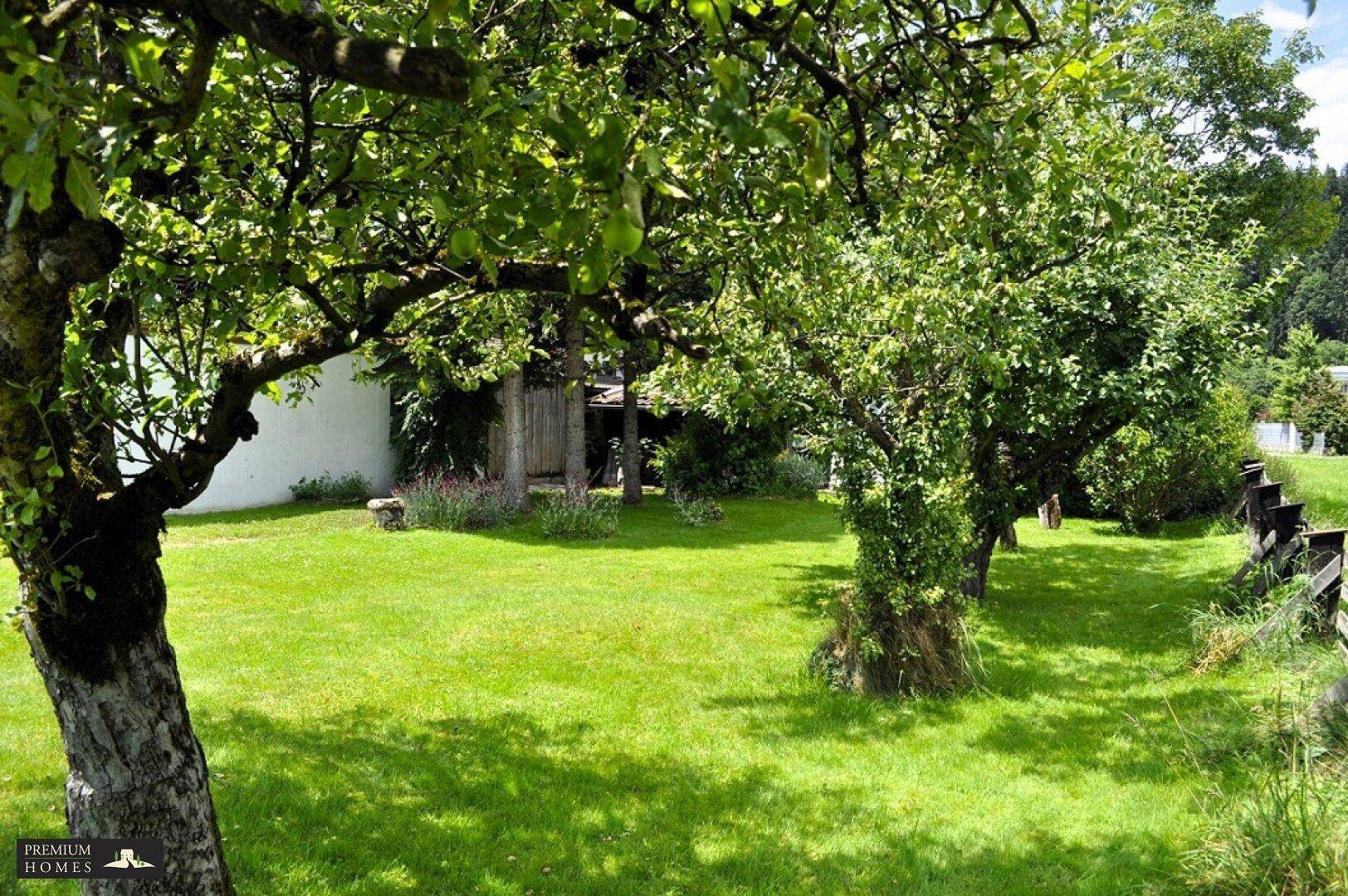 ANGATH - Renovierungsbedürftiges Einfamilienhaus - Gartenblick