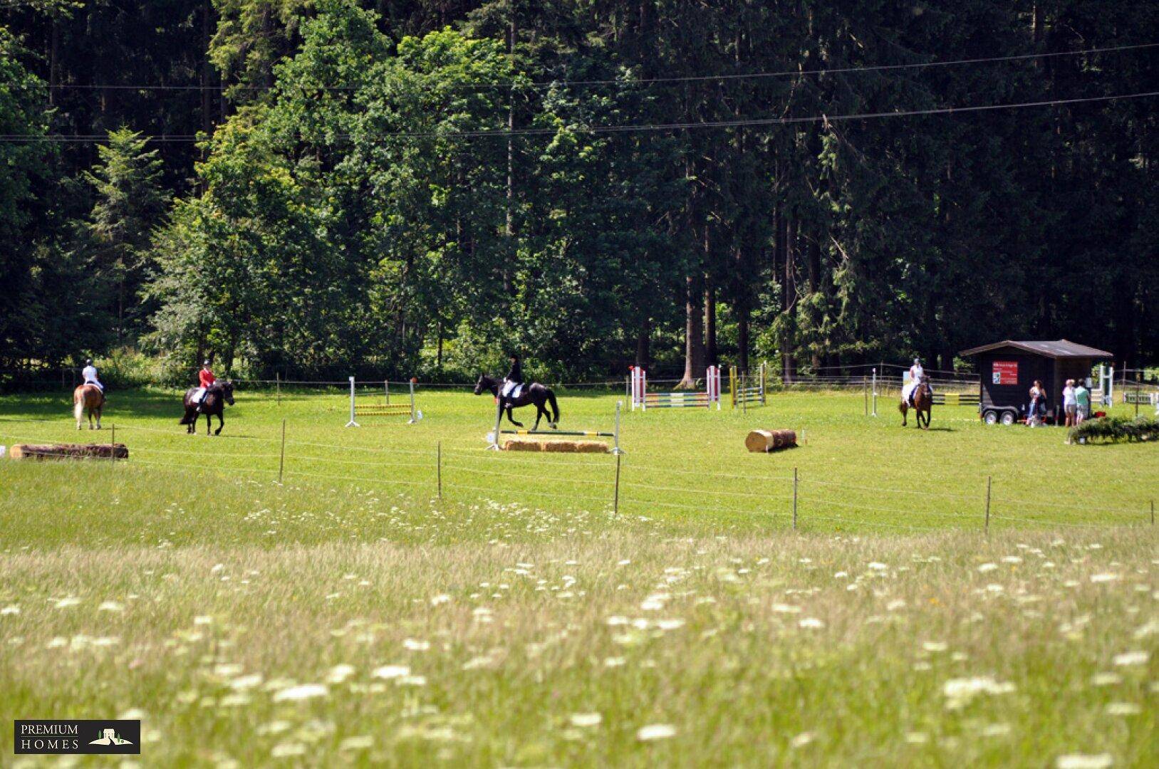 Angerberg-Eigentumswohnung Umgebungsblick in direkter Nähe