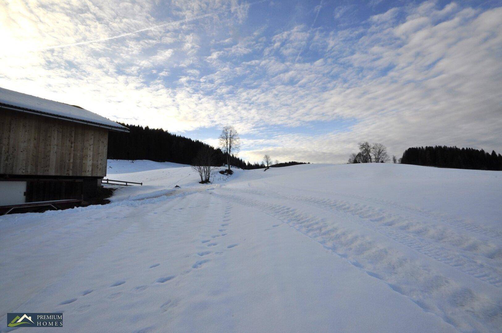 Wildschönau/Thierbach - Direkte Umgebung