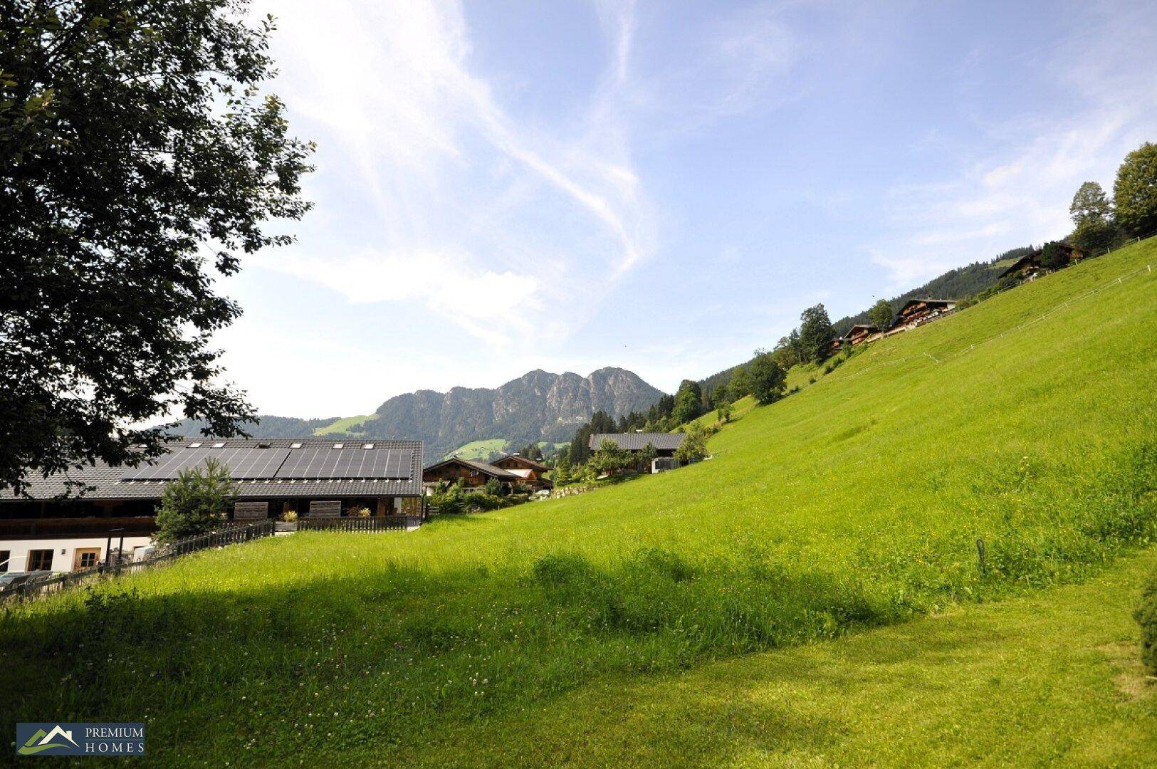 ALPBACH - Inneralpbach - Eigentumswohnung - Aussicht in die direkte Umgebung