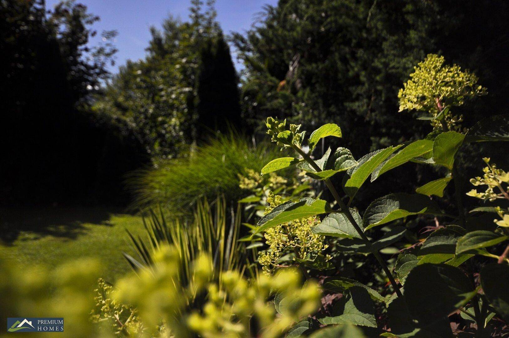 Einfamilienwohnhaus mit Gartenansicht