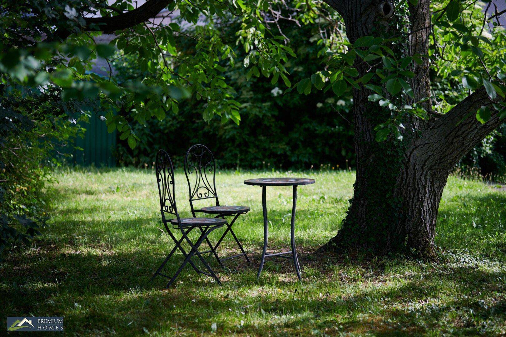 Romantischer Sitzplatz unter einem großen Baum im Garten mit schmiedeeisernen Stühlen und Tisch.