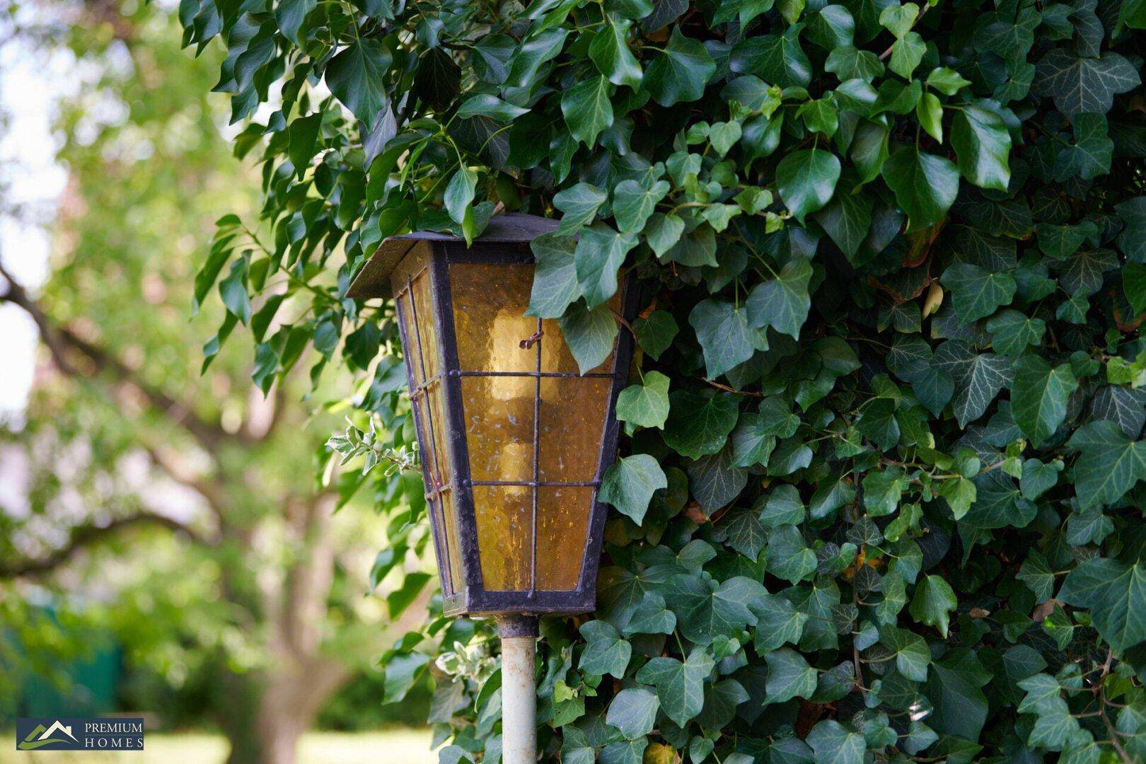 Eine alte Laterne, umrankt von Efeu, steht im grünen Garten und spendet abends Licht.