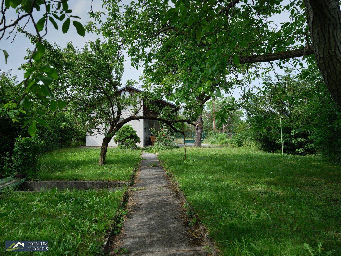 Langer Gartenweg führt durch das grüne Gras zu dem versteckten Einfamilienhaus im Hintergrund.