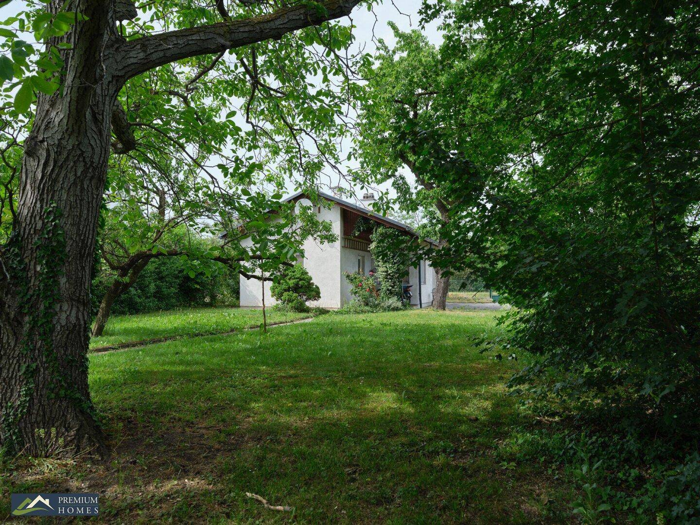 Weitläufiger Gartenbereich mit altem Baumbestand und dem Einfamilienhaus im Hintergrund, umgeben von Natur.