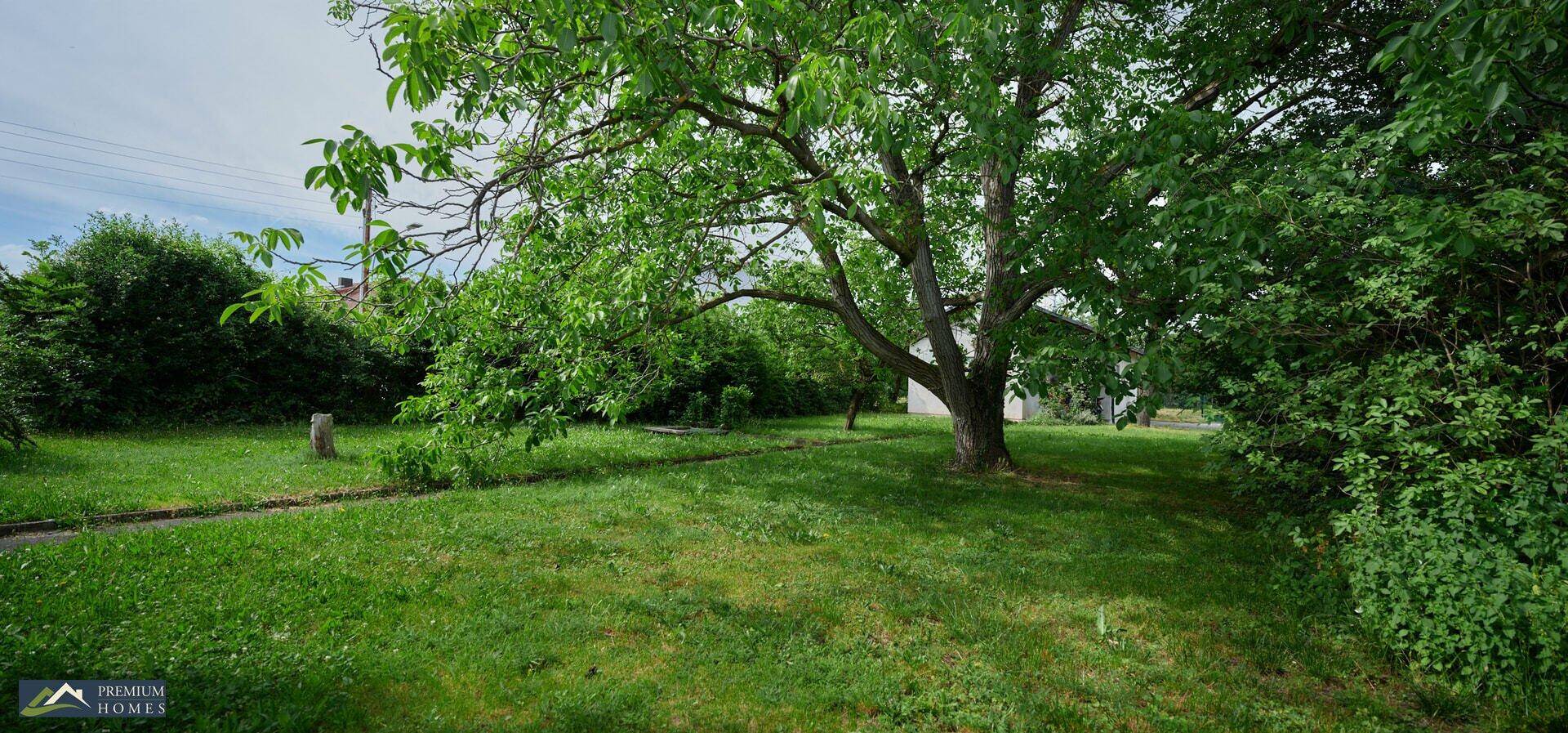 Großer, gepflegter Rasenbereich mit altem Baumbestand und einem Pfad, der durch den Garten führt.