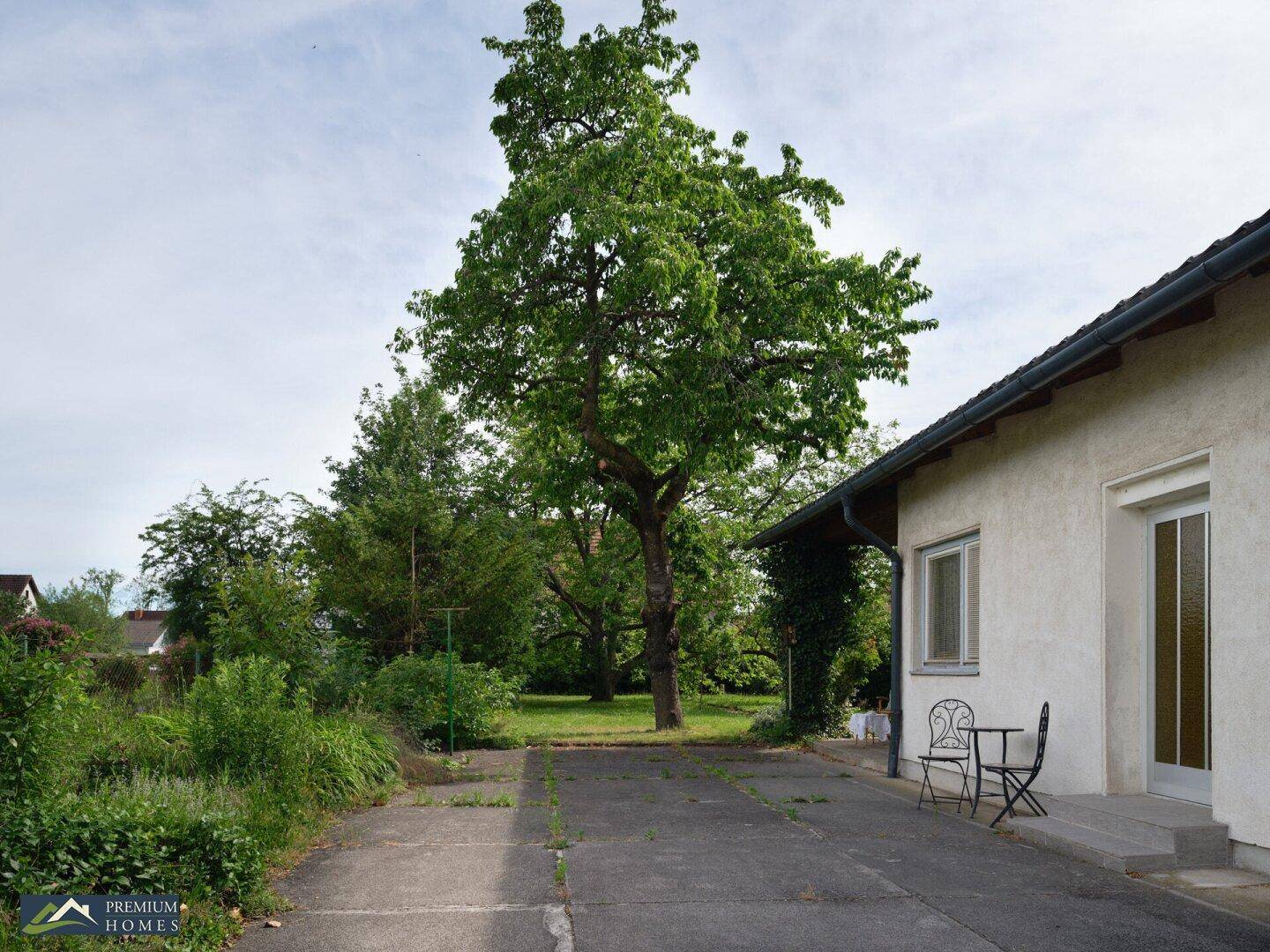 Die Seitenansicht des Hauses mit einer gepflasterten Fläche und einem großen Baum im Hintergrund.
