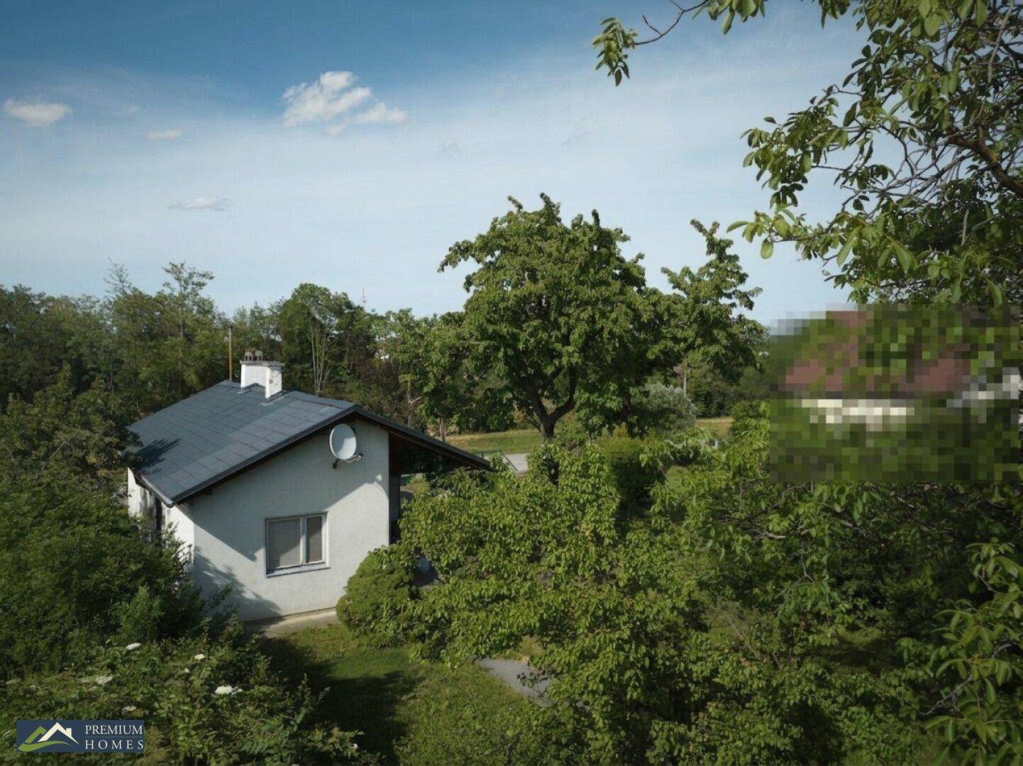 Das Einfamilienhaus versteckt hinter dichtem Baumbestand, mit Satteldach und Satellitenschüssel.