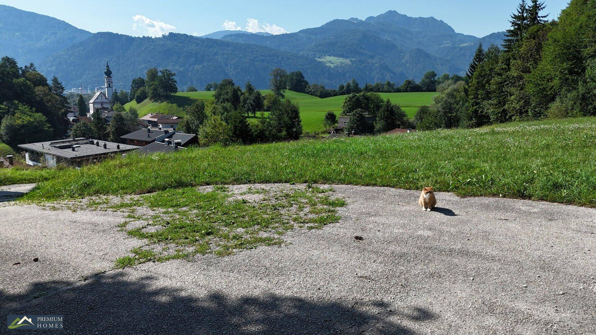 Asphaltierte Fläche mit einer Katze im Vordergrund und einem weiten Blick auf grüne Hügel und Berge.