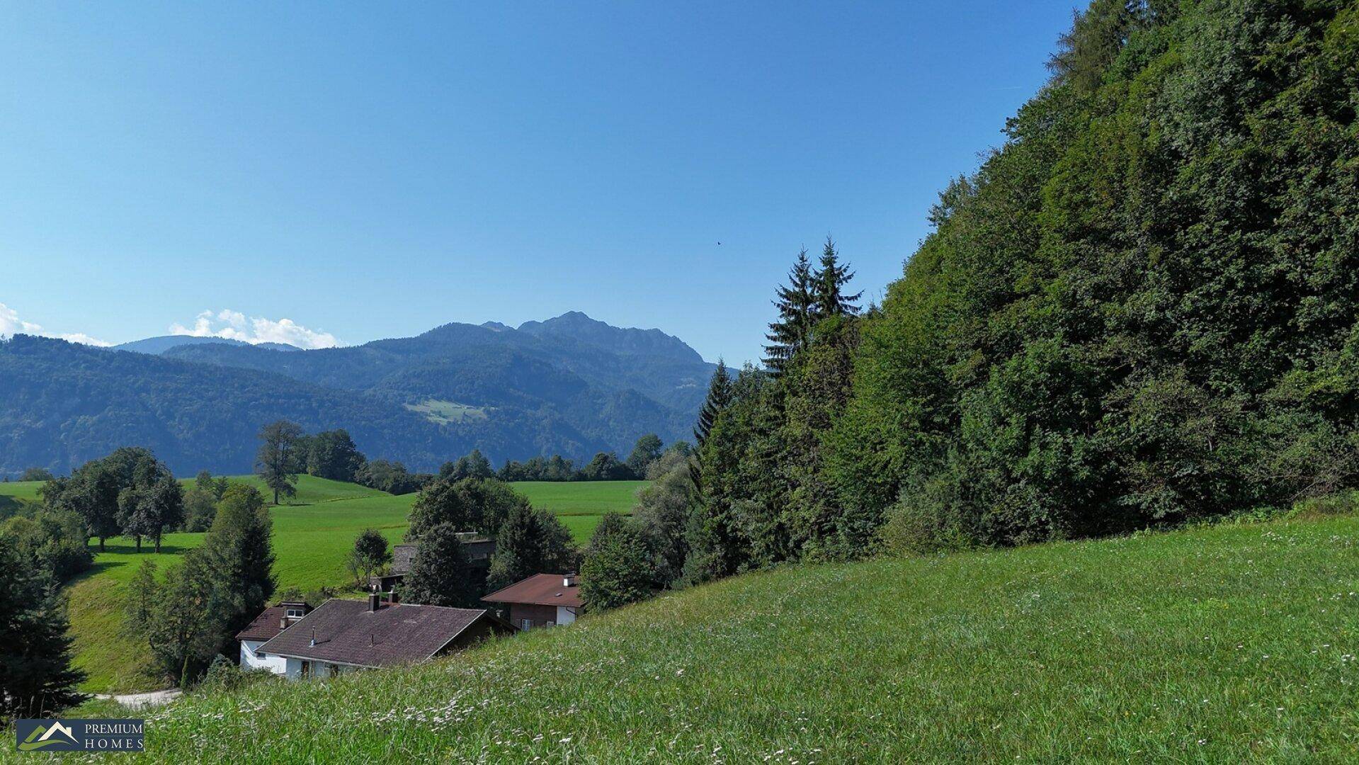 Malerische Hügellandschaft mit vereinzelten Häusern und dicht bewaldeten Hängen vor einer Bergkette.