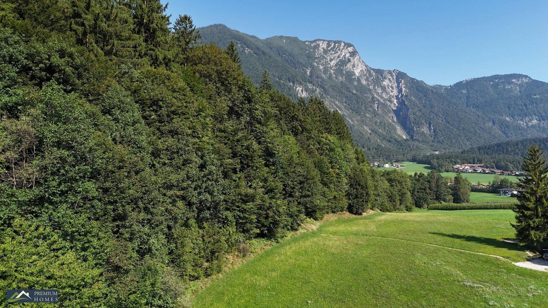 Dichter Wald am Fuße eines Berges, daneben eine offene Wiese mit Blick auf weitere Gipfel.