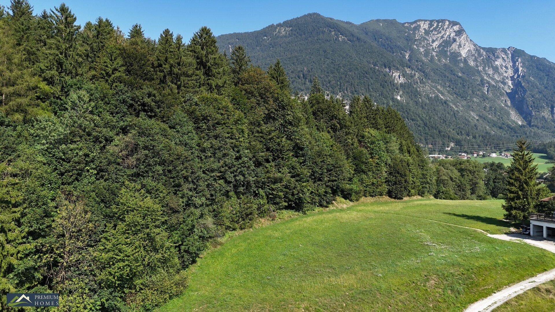 Weitläufige grüne Wiese am Waldrand mit imposanter Bergkulisse unter strahlend blauem Himmel.