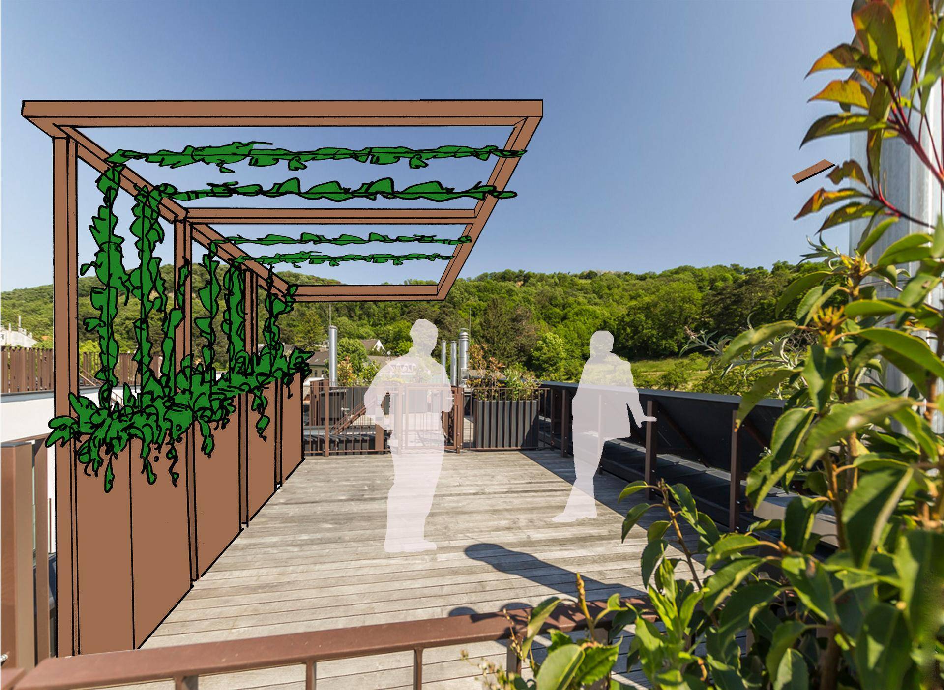Pergola Top 22.jpg