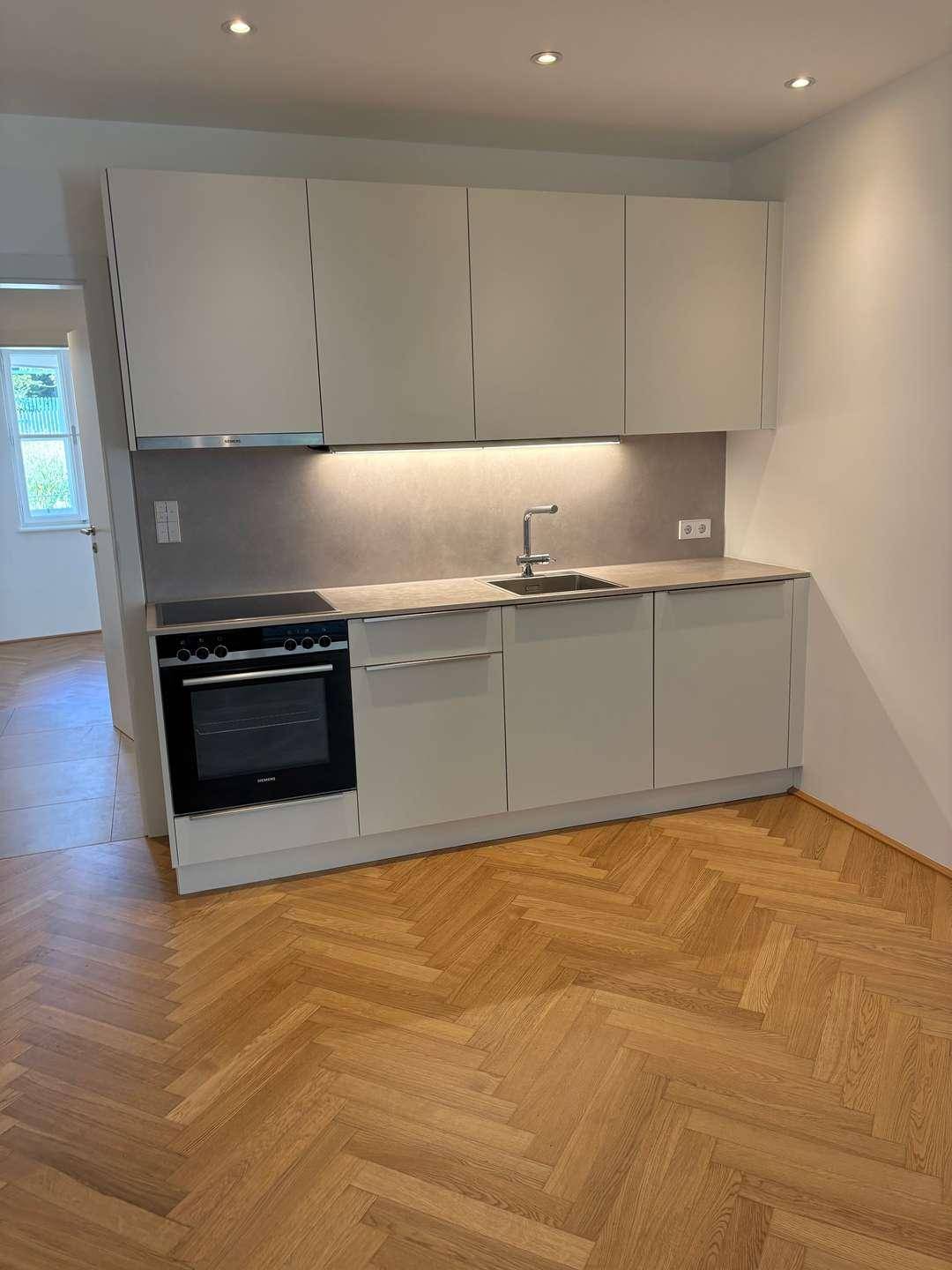 Moderne Küchenzeile mit hellgrauen Schränken, integriertem Backofen und Induktionskochfeld.